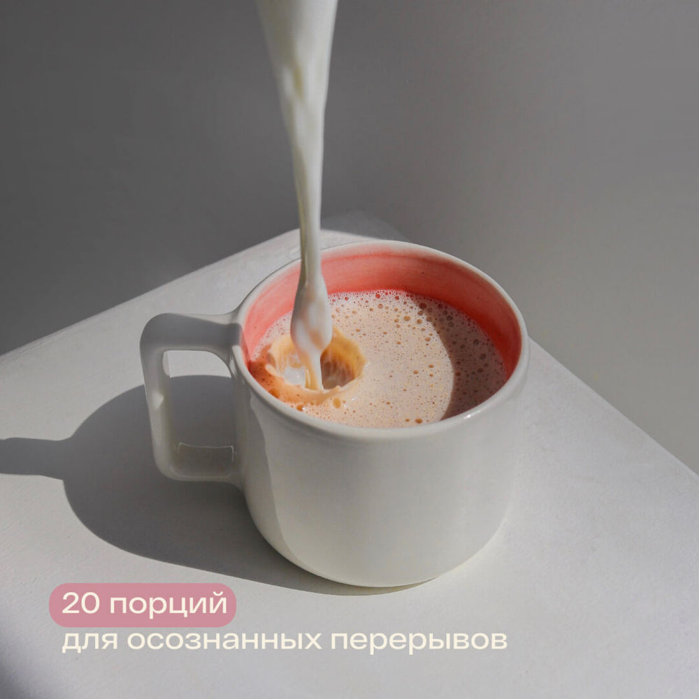 RE-FEEL Чай-латте с чагой и специями (дойпак 400г)