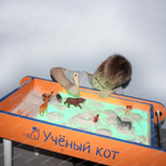 Световой песочный стол "Ученый Кот Плюс"