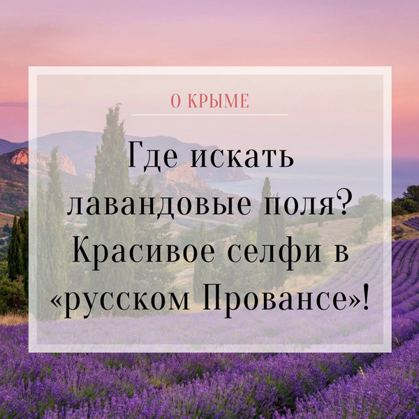 Где искать лавандовые поля в Крыму?