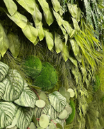 21.02. Вертикальное озеленение искусственными и стабилизированными растениями и мхом.