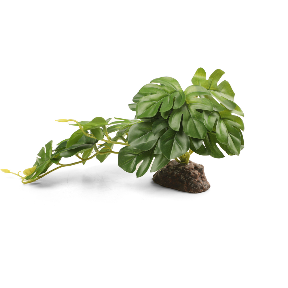 Laguna TERRA Растение пластиковое "Монстера", зеленое, 260*150*140мм