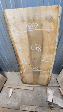Бук 120 см (Д) × 62/68 см (Ш) × 7 см (Т)