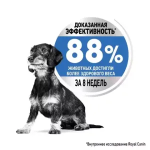 Корм для малоактивных собак, Royal Canin Mini Light Weight Care