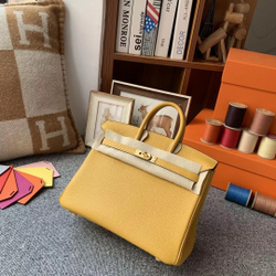 Hermes Birkin 25
