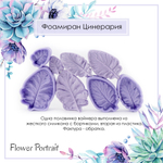 Фоамиран Цинерария