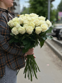 Белая роза сорт «Мондиаль» (Эквадор)