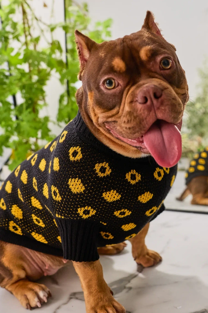 Для собачки