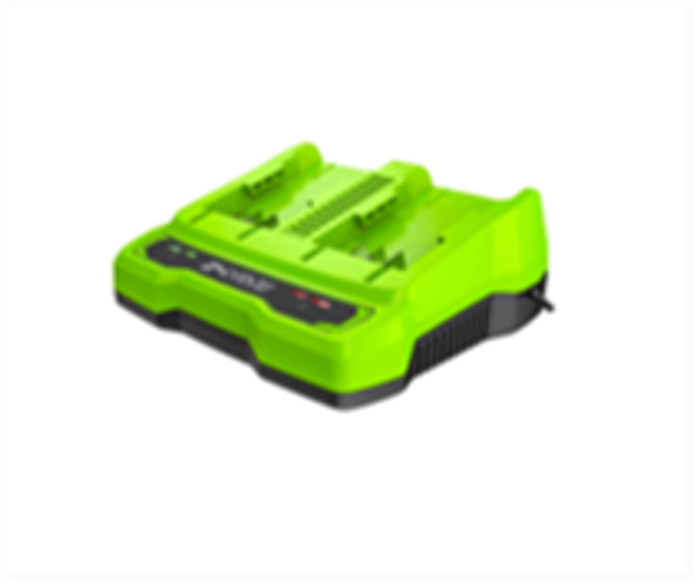 Зарядное устройство Greenworks G24X2UC2 для 2-х АКБ, 24V, 2А (2931907)