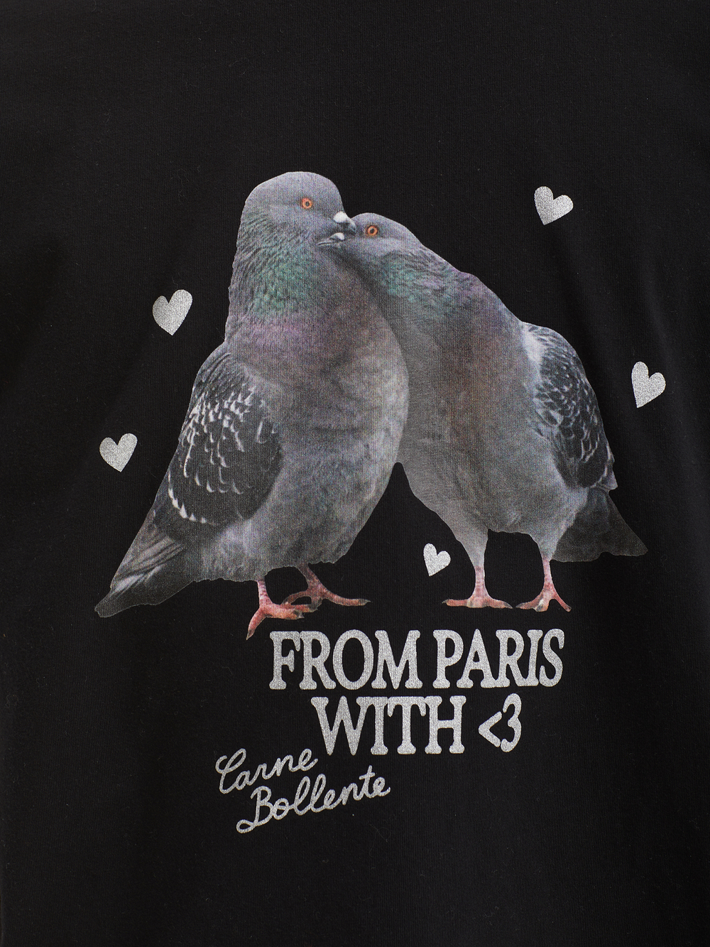 Мужская Футболка Lovebirds