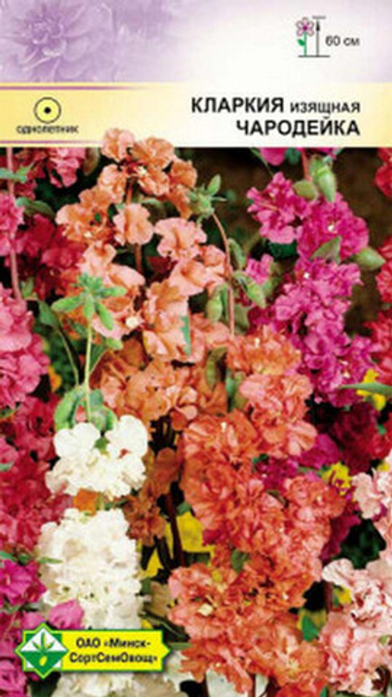 Кларкия "Чародейка" 0.3г, Германия.