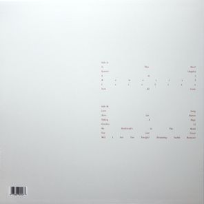 Devendra Banhart / Ma (LP)