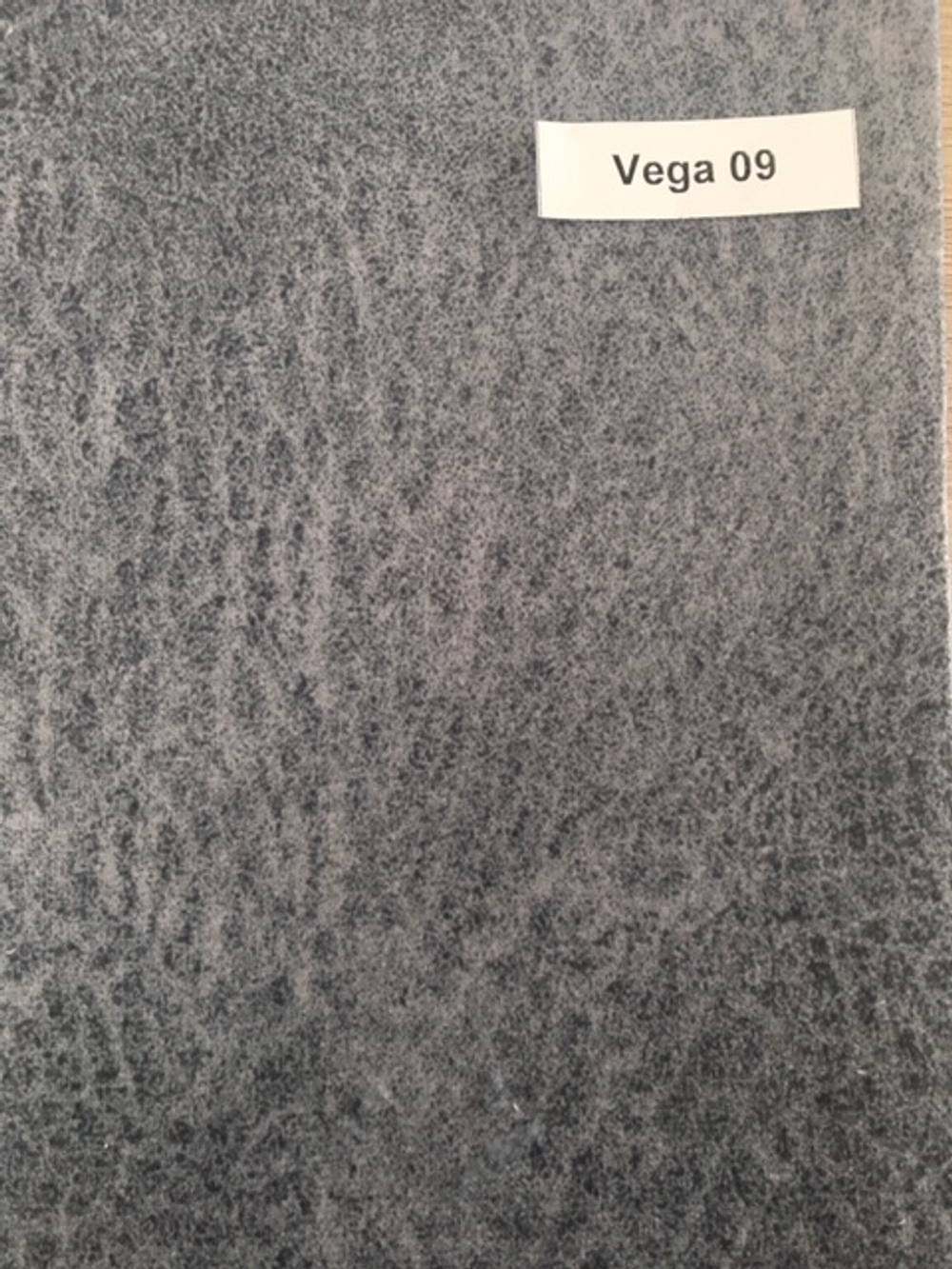 Vega 09