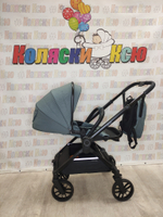 Коляска модульная Rant Vector Grey