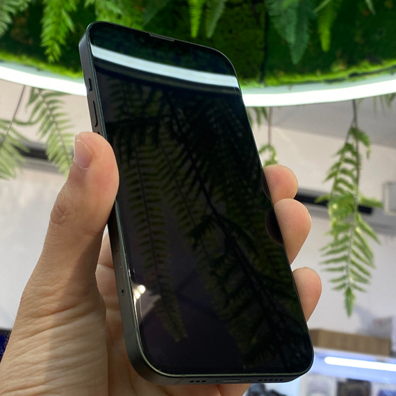 Apple iPhone 13 128Gb