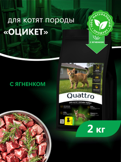 Корм сухой для котят породы Оцикет, с ягненком, 2кг, QUATTRO