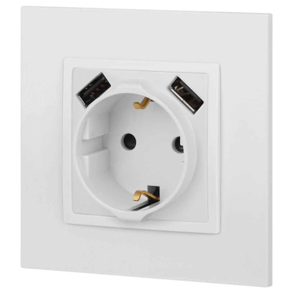 Розетка ЭРА Elegance 14-4109-01М 2P+E 16A-250В штор. с 2xUSB 5В-3А белый матовый | Эра Elegance