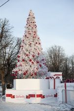 Уличная елка ствольная "Альпийская белая сосна" (Леска белая) 22 м