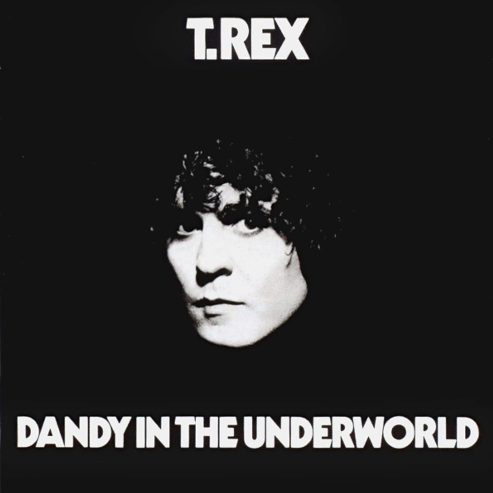 T. Rex / Dandy In The Underworld (LP)