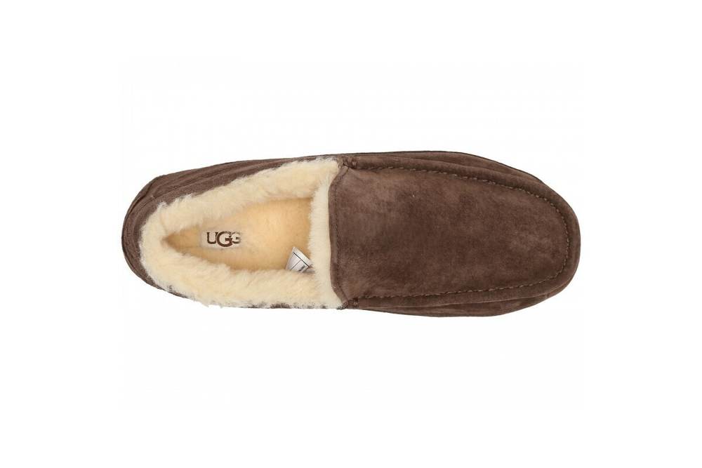 UGG Mens Ascot Chocolate