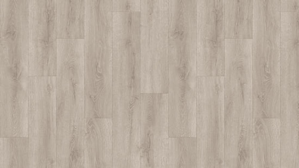 Линолеум Гладиатор Формоса 2 (3,5м)