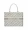 Сумка Dior Book Tote, модель маленького формата белый/серый