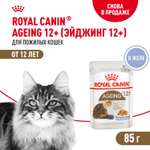 Royal Canin Ageing 12+ Корм консервированный для стареющих кошек старше 12 лет в желе 85г