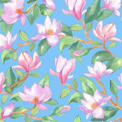 Цветущая магнолия на небесно-голубом фоне