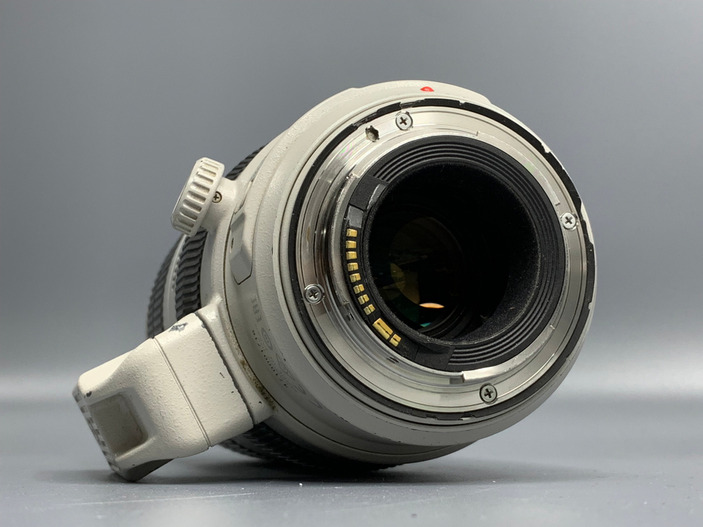 Canon 100-400mm IS II USM Пыль под линзой