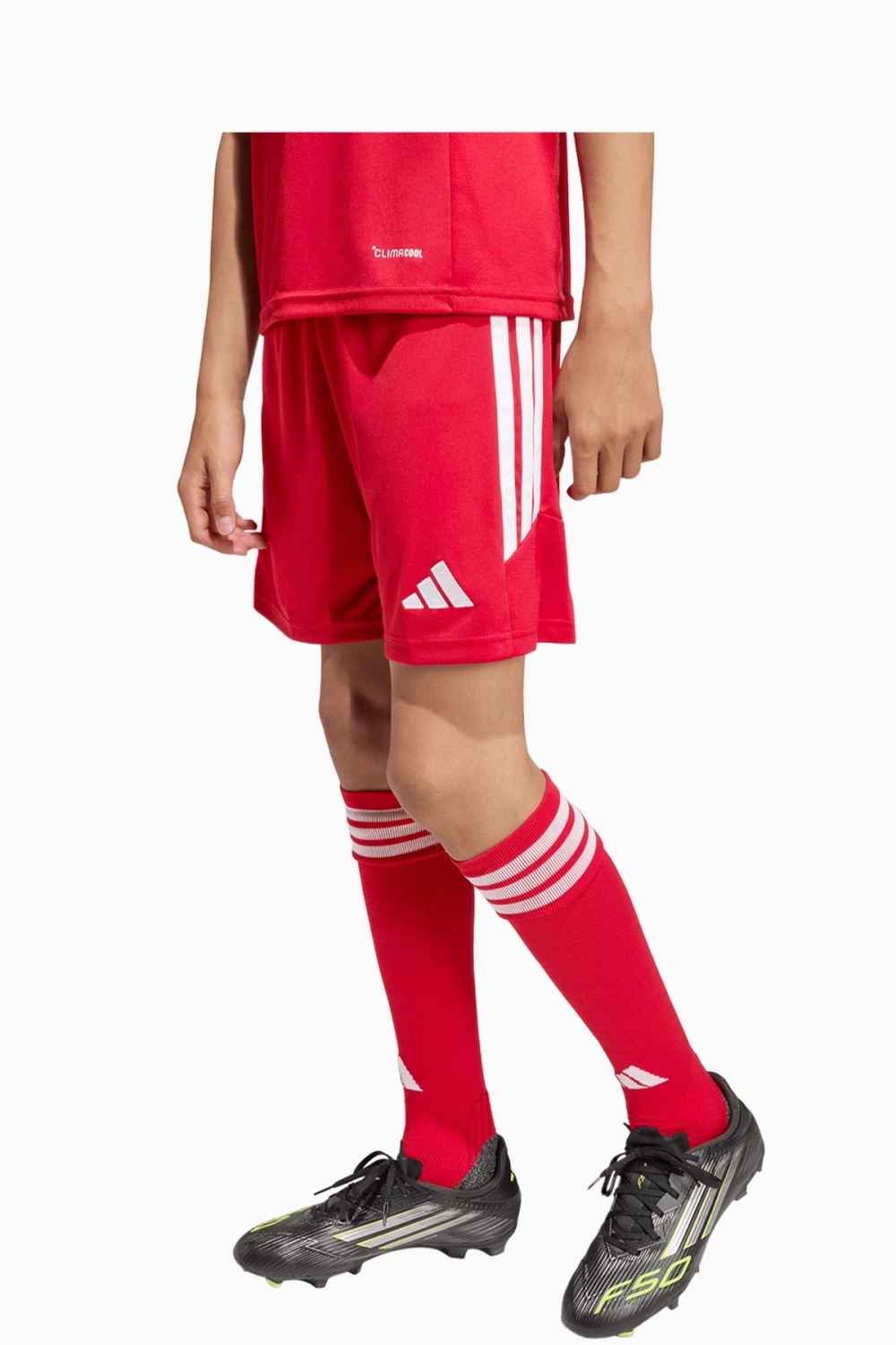 Шорты adidas Tiro 26 League Junior - красный