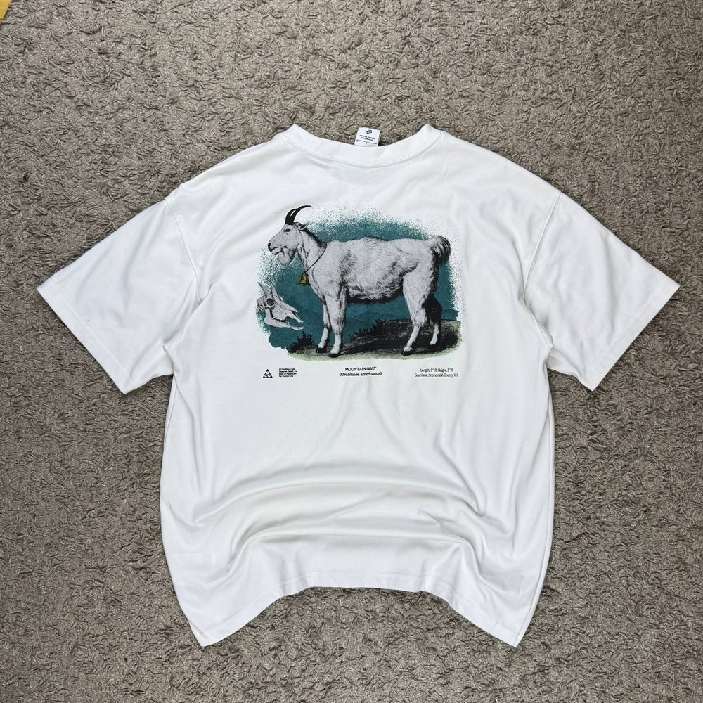 Футболка Nike ACG Goat