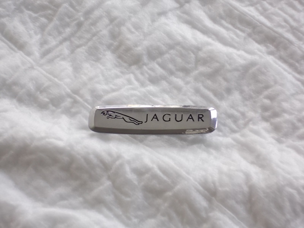 Логотип Jaguar. Цветной. Стандартный (6х1.5 см)