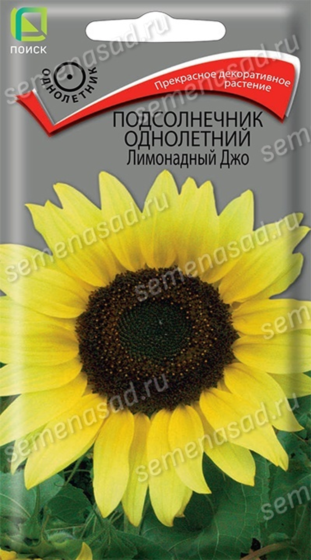 podsolnechnik_odnoletny_limonadny_joe