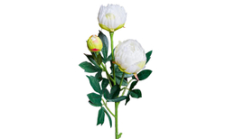 Искусственный цветок Пион кремовый 64см Garda Decor 8J-15GS0010