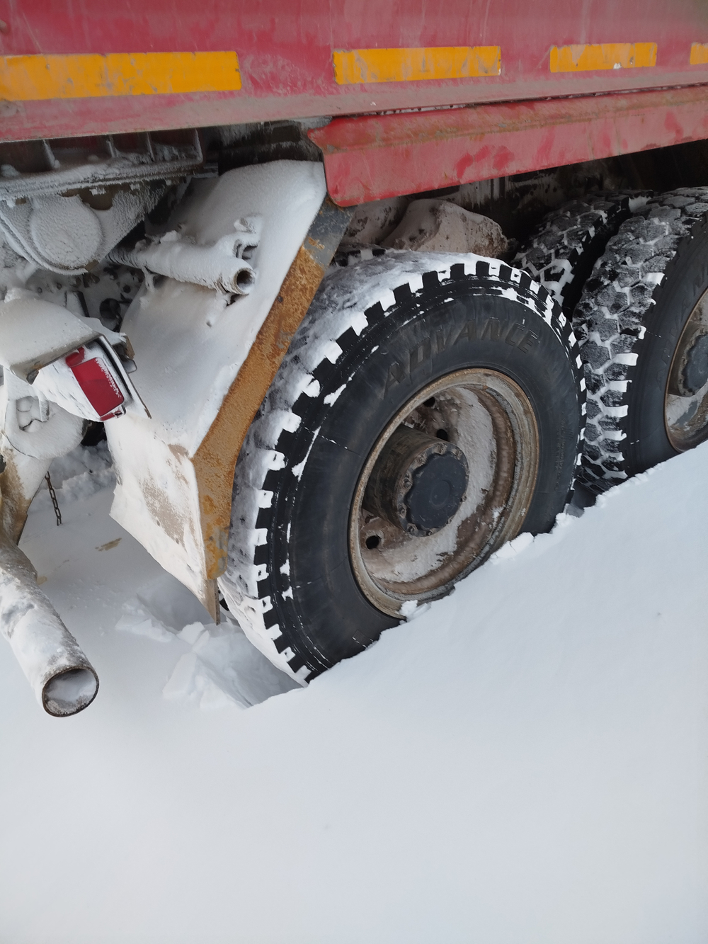 MAN TGS 8x8 Самосвал БЦМ-59 	(Дизельный, 12,4 л, 480 л.с., АТ)