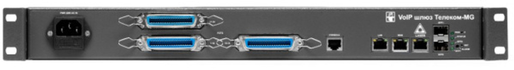Шлюз VoIP НПО Телеком Телеком-MG-48FXS-AC