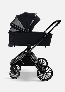 Pituso Коляска 2 в 1 Mayla Luxury Black