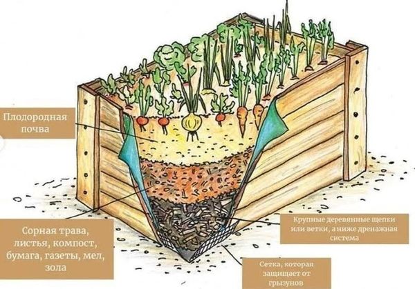 Теплая грядка весной: как сделать для раннего урожая в Сибири Теплая грядка весной: как сделать для раннего урожая в Сибири