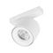 Светильник MAG-VIBE-POINT-R75-10W Day4000-MIX (WH, 24 deg, 48V, DALI) Arlight 045001