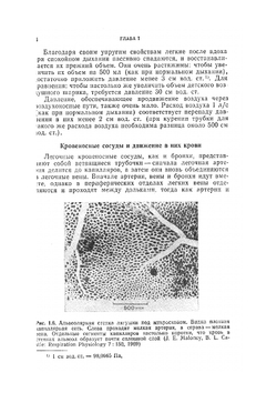 Физиология дыхания. Основы | Д. Уэст