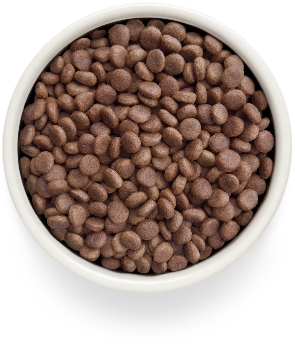 Сухой корм GRANDORF VETERINARY DIET Dog GASTROINTESTINAL Полнорационный диетический корм для собак при расстройствах пищеварения, индейка 1кг