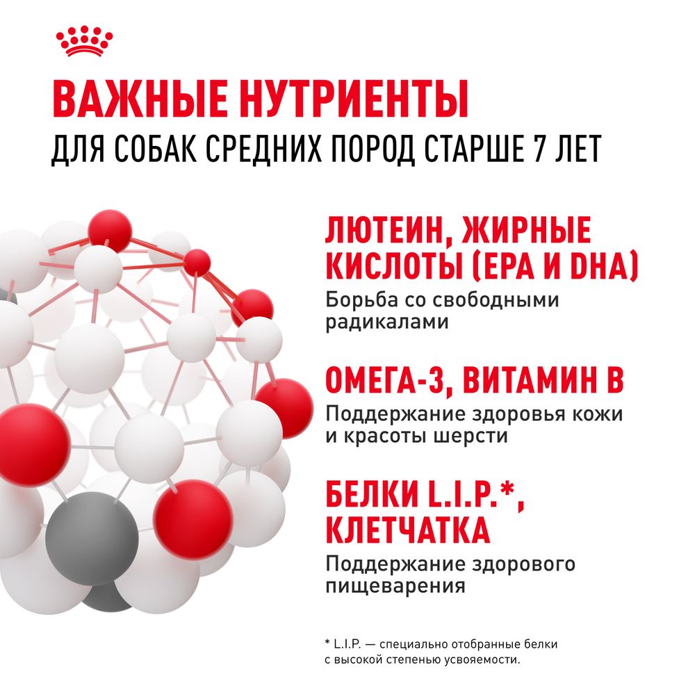 Сухой корм Royal Canin Medium Adult 7+ для взрослых собак средних размеров от 7 лет и старше Сухой корм Royal Canin Medium Adult 7+ для взрослых собак средних размеров от 7 лет и старше