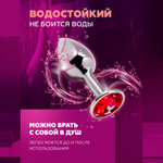 Анальная пробка маленькая Alive Anal Pleasure, металл с красным кристаллом L: 9х4,1 см