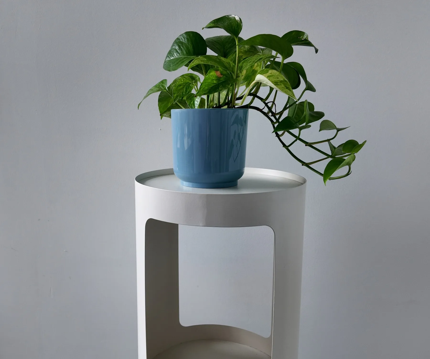 Gallery Item