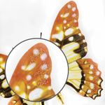 Украшение для окон и стекла ЗОЛОТАЯ СКАЗКА "Бабочки 2", 30х38 см, ПВХ, 591232