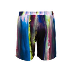 Мужские теннисные шорты Fila Patrice Shorts Men - Multicoloured