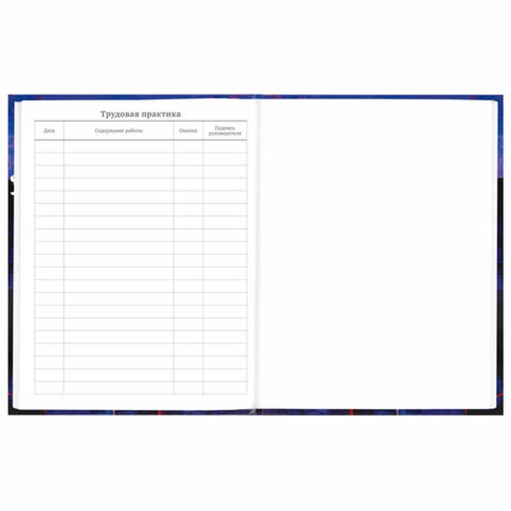 Дневник 5-11 класс 48 л., твердый, BRAUBERG, глянцевая ламинация, с подсказом, "Anime", 106864