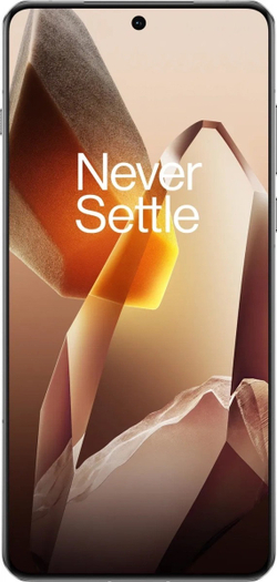 Смартфон OnePlus 13 12/256Gb, Arctic Dawn (CPH2649)