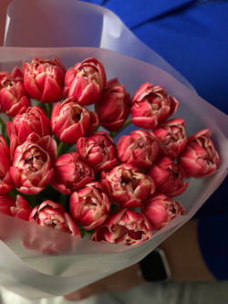 Букет малиновых пионовидных тюльпанов "Колумбус"