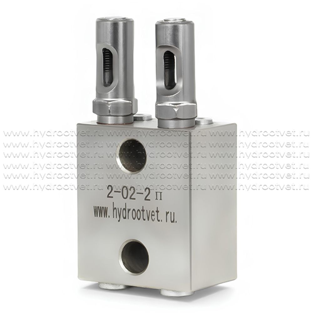 2-02-2П - Питатель модульного исполнения для двухлинейных смазочных систем с рабочим давлением 200 бар, количество выходов 2, максимальная доза на выход 2 мл/цикл, с регулятором и индикатором