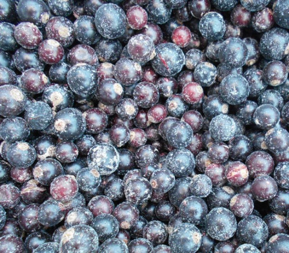 Ягода замороженная ЧЕРНАЯ СМОРОДИНА, 500 гр
